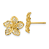 14k Yellow Gold Diamond-Cut Filigree Plumeria Earrings
