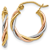14kt Tri-Color Gold 1/2in Twisted Earrings 2.5mm
