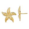 14k Yellow Gold Starfish Earrings with Textured Finish 3/4in