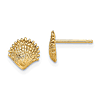 14k Yellow Gold Tiny Scallop Shell Earrings with Textured Finish