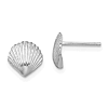 14k White Gold Tiny Scallop Shell Post Earrings