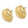 14k Yellow Gold Small Clam Shell Earrings