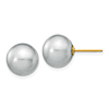 14k Yellow Gold 10mm Gray Round Freshwater Cultured Pearl Earrings