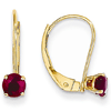 14kt Yellow Gold 7/10 ct Ruby Leverback Earrings