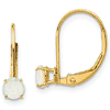 14kt Gold 4mm Opal Leverback Earrings