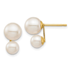 14k Yellow Gold White Double Drop Freshwater Cultured Pearl Earrings