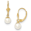 14kt Yellow Gold 6mm Freshwater Cultured Pearl  Leverback Earrings