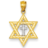 14kt Yellow Gold Rhodium 5/8in Star of David with Cross Pendant