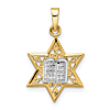 14k Two-Tone Gold Star And Torah Pendant 5/8in