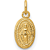 14kt Yellow Gold 3/8in Miraculous Medal Charm