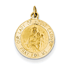 14k Yellow Gold 1/2in Our Lady of Mount Carmel Medal Charm