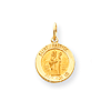 14k Yellow Gold Saint Patrick Medal Charm 9/16in