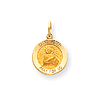 14k Yellow Gold 9/16in Saint Peter Medal Charm