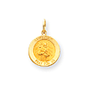 14k Yellow Gold Saint Roch Medal Charm 9/16in