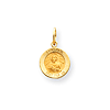 14k Yellow Gold Saint Paul Medal Charm 7/16in