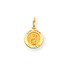 14k Yellow Gold Saint Patrick Medal Charm 7/16in