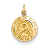 14kt Yellow Gold 1/2in Our Lady Of The Assumption Charm