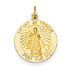 14kt 11/16in Infant of Prague Medal Charm