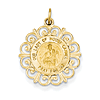 14k Yellow Gold 11/16in Our Lady of Mt. Carmel Medal Charm