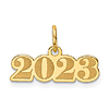 14k Yellow Gold 2023 Charm With Satin And Polished Finish