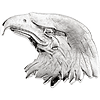 14kt White Gold Eagle's Head Lapel Pin