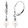 14k White Gold 6mm Freshwater Cultured Pearl Cluster Lever Back Earrings