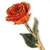 Lacquered Orange Rose With Gold Trim