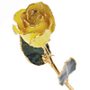 Lacquered Yellow Rose With Gold Trim