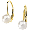 14kt Yellow Gold Akoya Cultured Pearl Lever Back Earrings