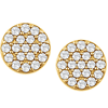 14kt Yellow Gold 1/3 ct Diamond Cluster Earrings