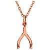 14k Rose Gold Tiny Posh Wishbone Necklace