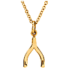 14k Yellow Gold Tiny Posh Wishbone Necklace