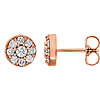 14kt Rose Gold 5/8 ct tw ct Diamond Cluster Earrings
