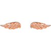 14k Rose Gold Angel Wing Earrings