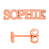14k Rose Gold Nameplate Earrings