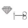 14k White Gold Tiny Diamond Earrings