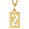 14k Yellow Gold Pierced Number 2 Dog Tag Necklace