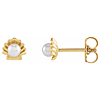 14k Yellow White Freshwater Cultured Seed Pearl Shell Earrings 