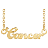 14k Yellow Gold Cancer Nameplate Zodiac Necklace