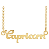 14k Yellow Gold Capricorn Nameplate Zodiac Necklace