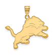 Detroit Lions